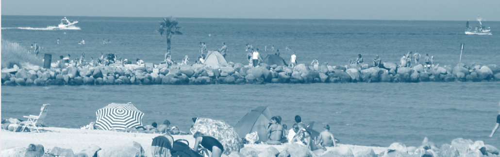 Palmestranden i duocolor