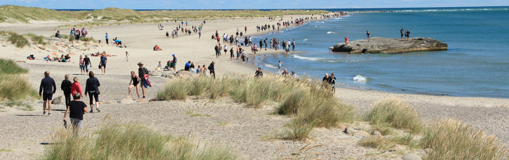Grenen med turister