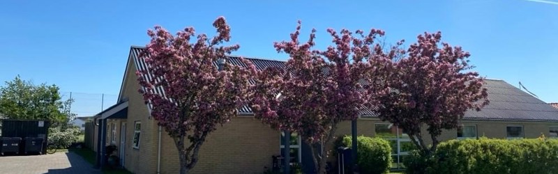 Foto af Frederikshavn Krisecenter