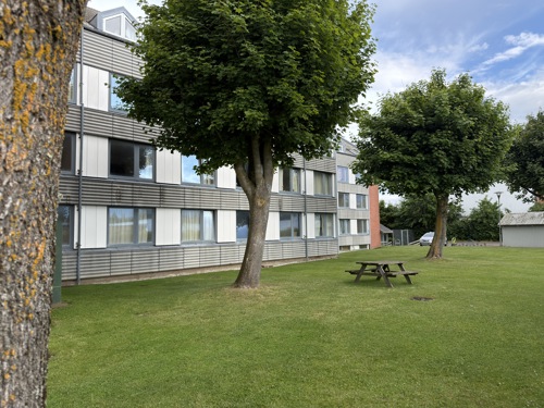 Foto fra haven foran kollegiet på Rømøvej.