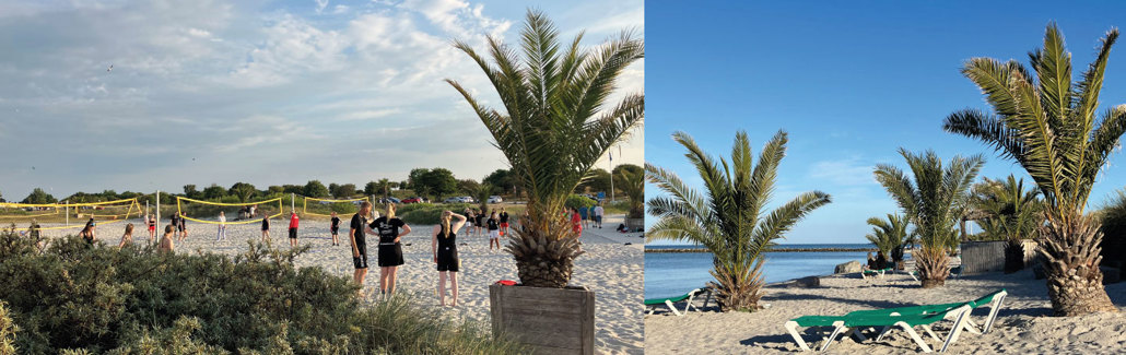 Beachvolley på Palmestranden og aftenstemning på havnen