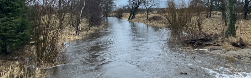 Elling Å med forhøjet vandstand efter kraftig regn og sne og blæsevejr 6. og 7. januar